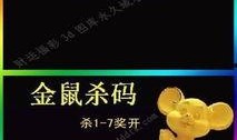 今天3d爆料最新图谜,探寻数字背后的神秘世界