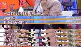 卓伟最新爆料何洁,卓伟最新爆料揭露惊人内幕