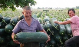 安丘大瓜爆料视频最新,揭秘惊人内幕，真相令人震惊！