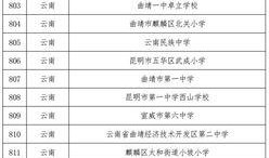 云南小学爆料最新消息,揭秘校园内幕，真相令人震惊！