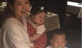 卓伟最新爆料何洁,卓伟最新爆料揭露惊人内幕