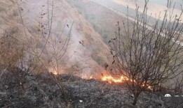 狮子山爆料视频最新版在线观看,揭秘背后真相，在线观看不容错过